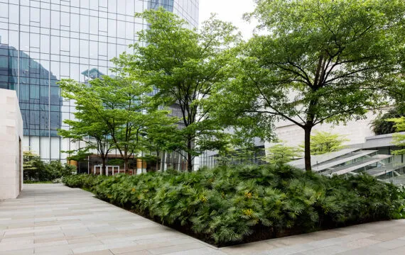 Mik azok az esőkertek és hogyan működnek az irodai környezetben?